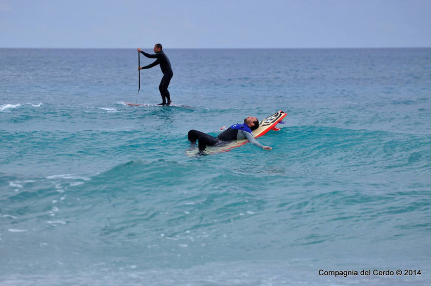 PHOTO : surf is cool !!!