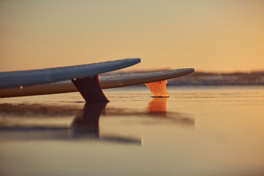 PHOTO : golden hour !!!