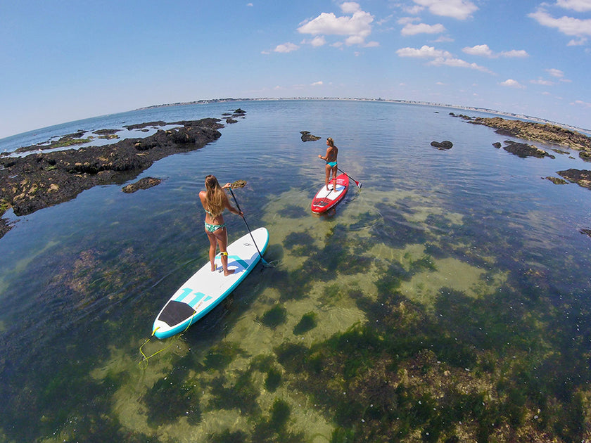 PHOTO : endless summer !!!
