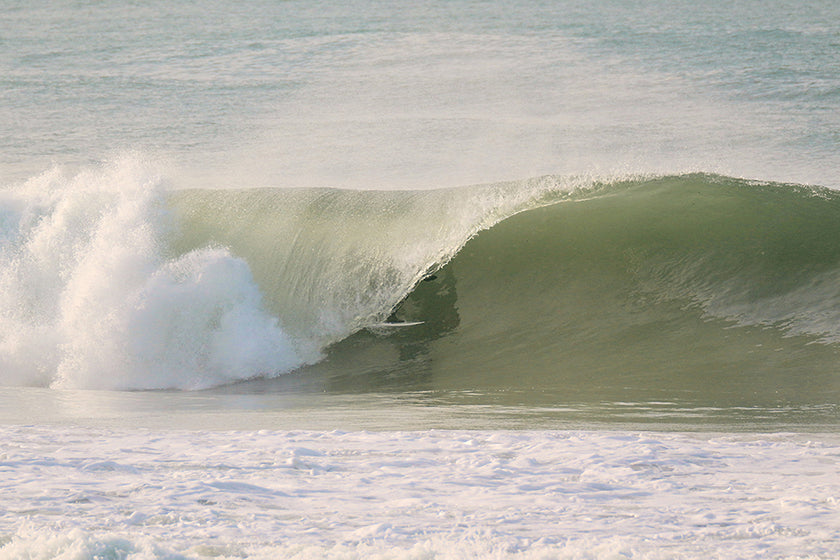 PHOTO : sweet home !!!