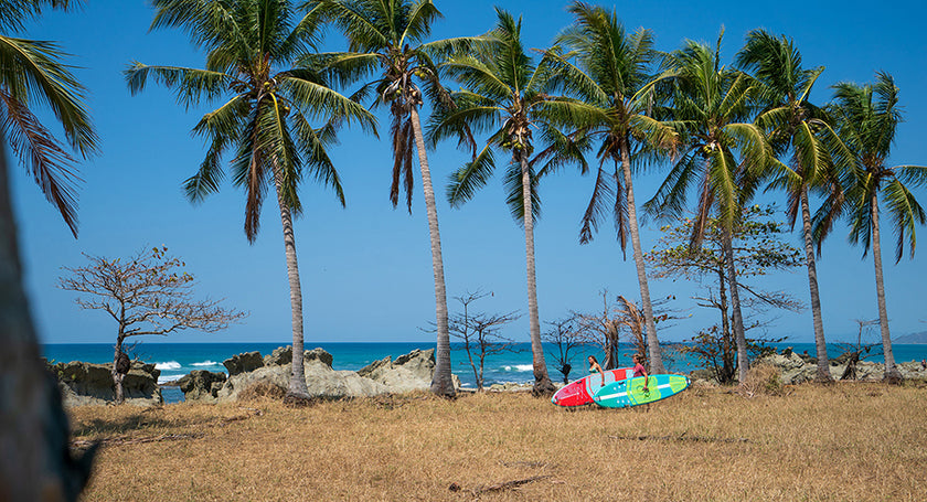 PHOTO : paradise !!!