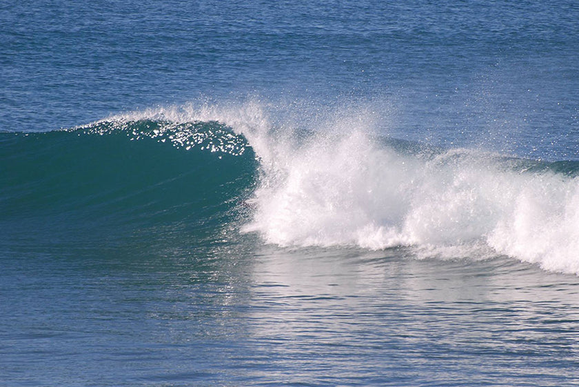 PHOTOS : Manta à l'ombre !!!