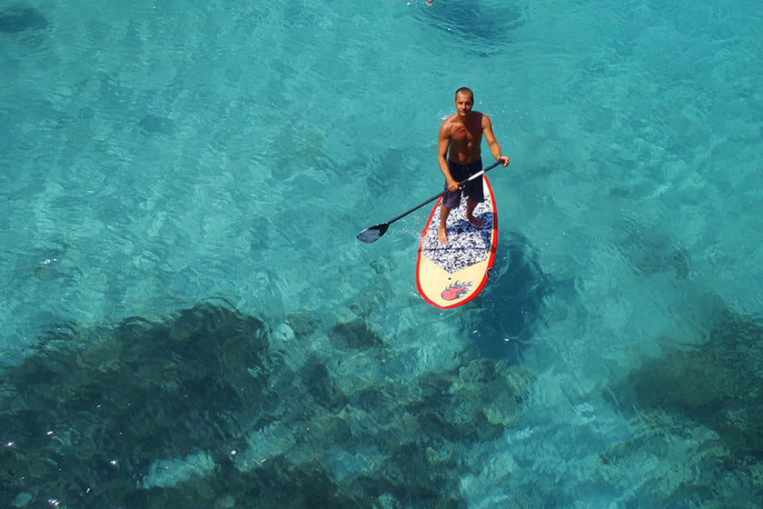 SESSION : cruising and snorkeling !!!