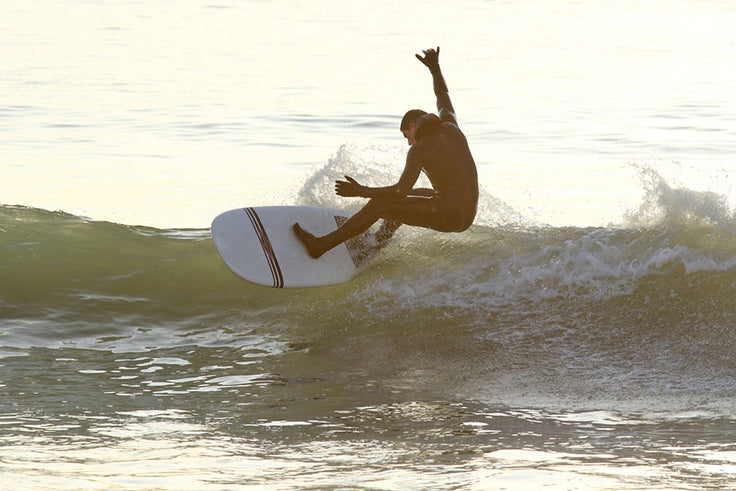 PHOTO : Matata efficiency !!!