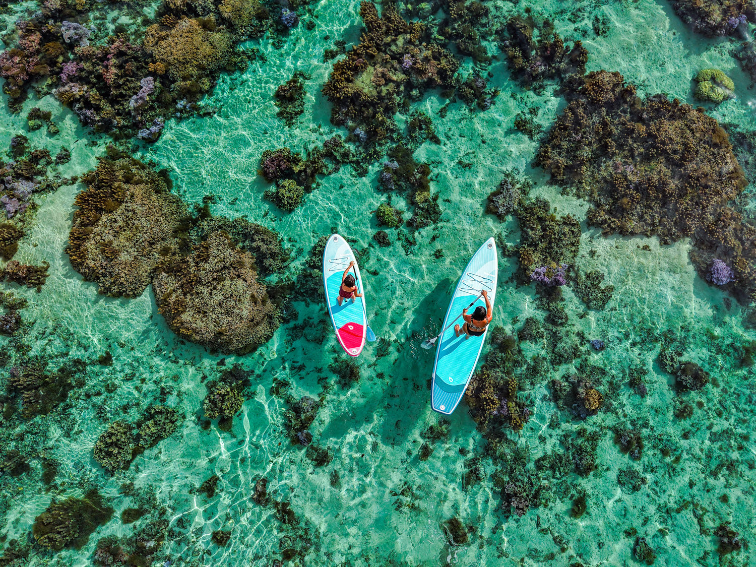 SESSION: SUP CRUISE WITH THE KIDS!