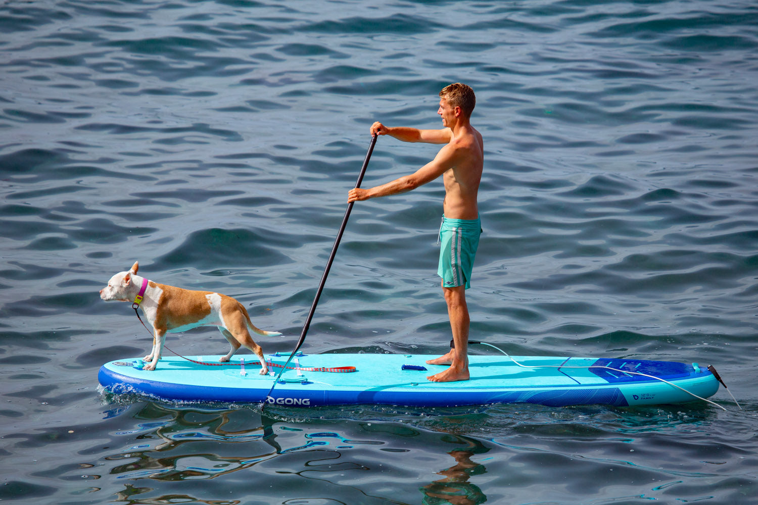 SESSION: A SUP OUTING IN GOOD COMPANY!