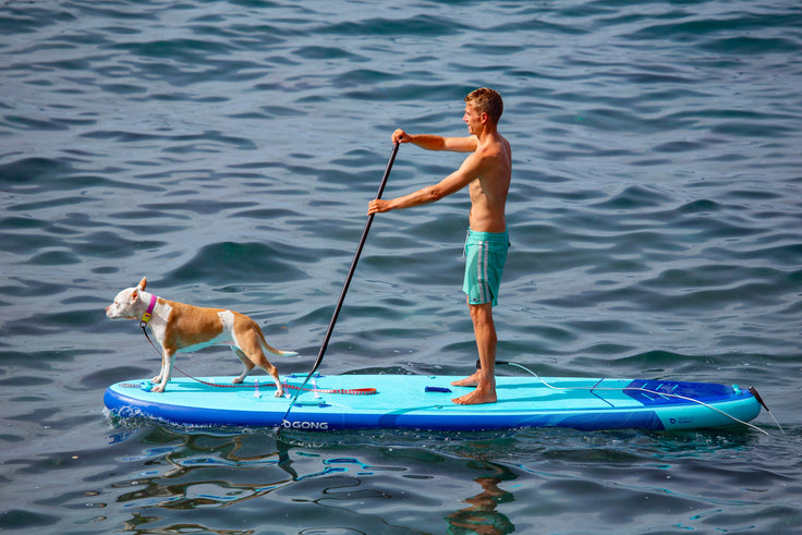 SESSION : UNE PROMENADE SUP EN BONNE COMPAGNIE !