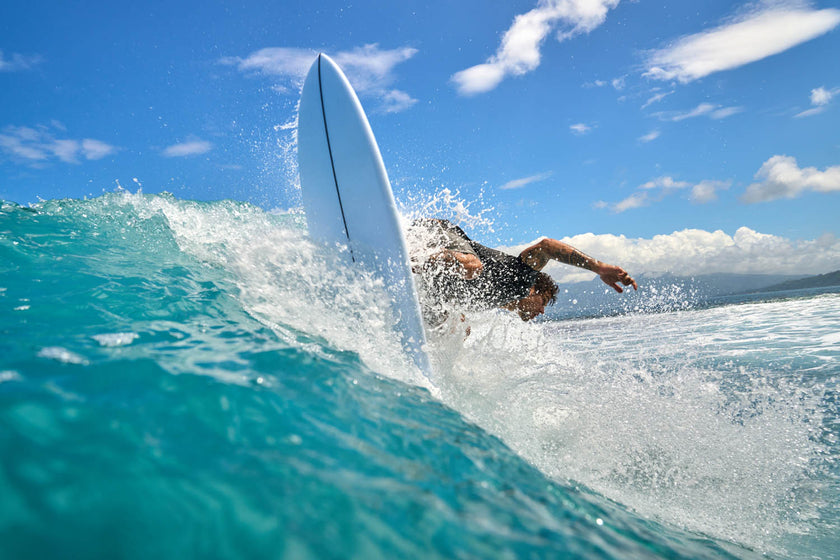 GEAR: THE FISH THAT GOES ABOVE AND BEYOND!