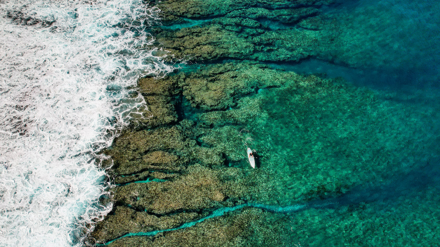 SESSION: THE FREEDOM OF STAND-UP PADDLEBOARDING!