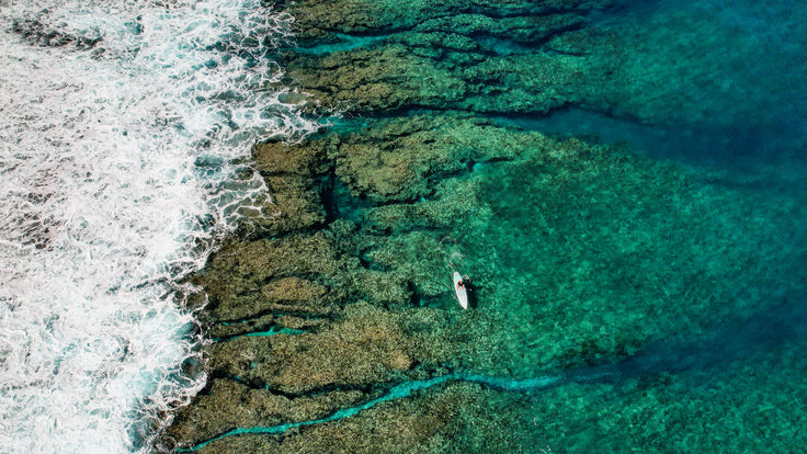 SESSION : PLUS DE MOBILITÉ EN STAND-UP PADDLE !