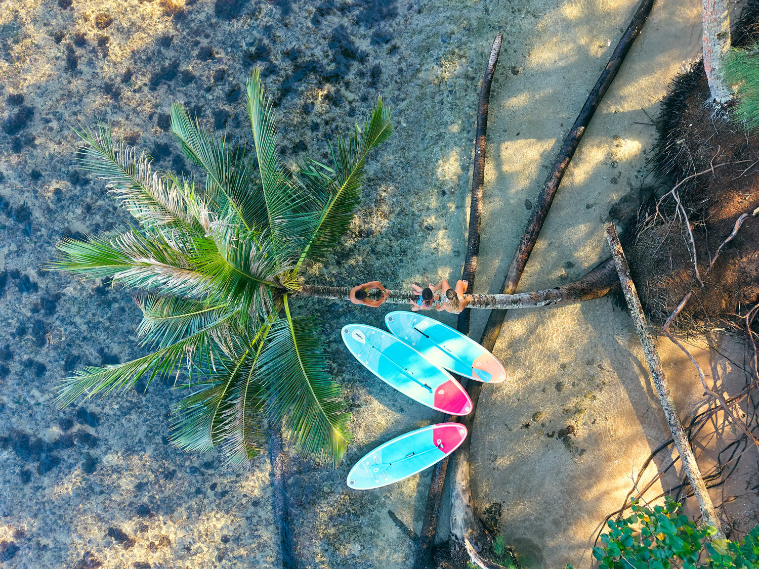 SESSION: A FAMILY SUP OUTING!