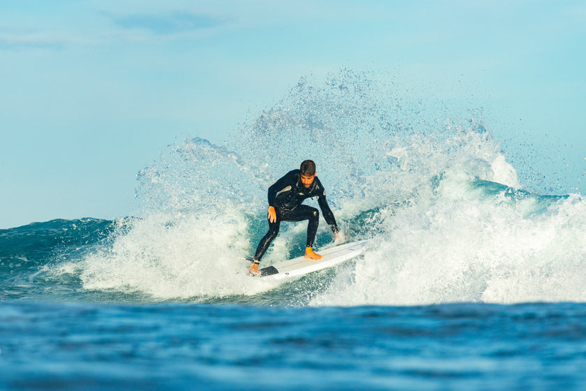 SESSION: A FISH TO CARVE NEW LINES!