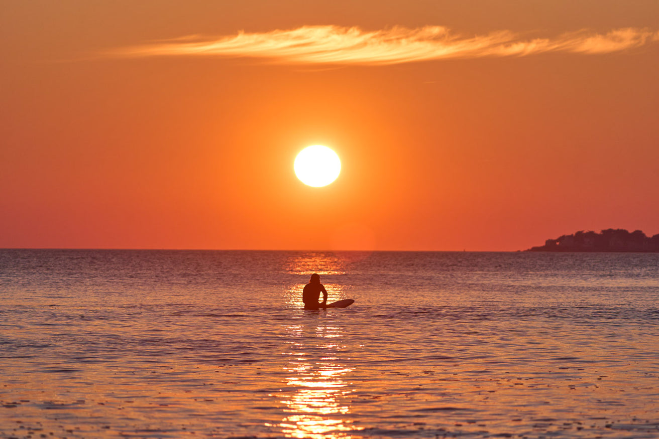 GONG | Surf 9'8 Frank EPS Pro