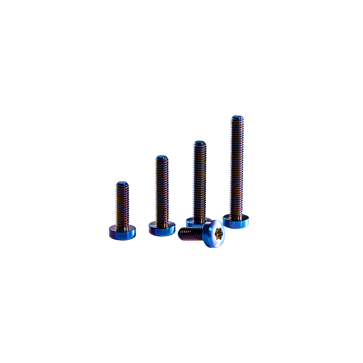 GONG | Vis Foil Tête Bombée Torx Titane