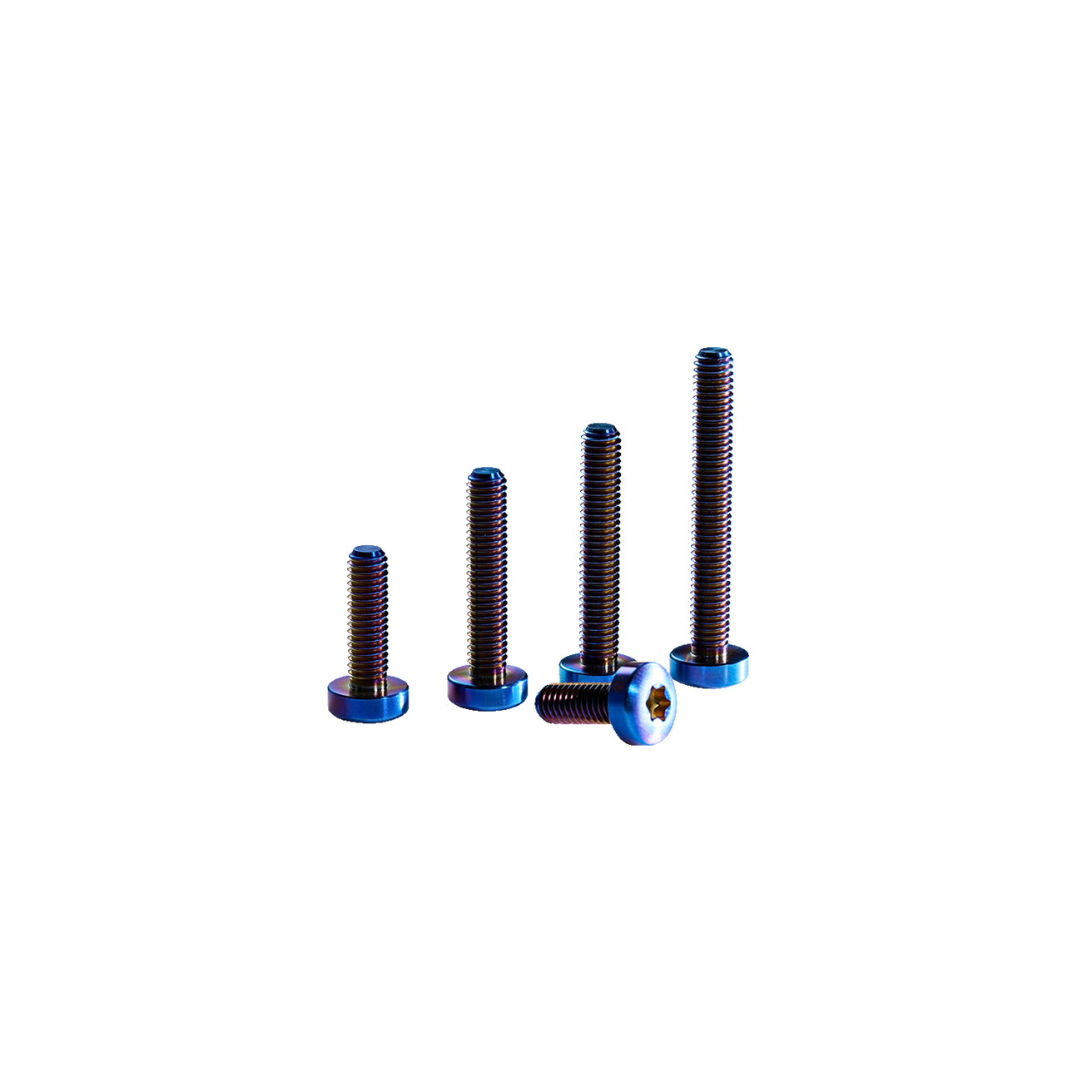 GONG | Titanium Screw Torx Head M6