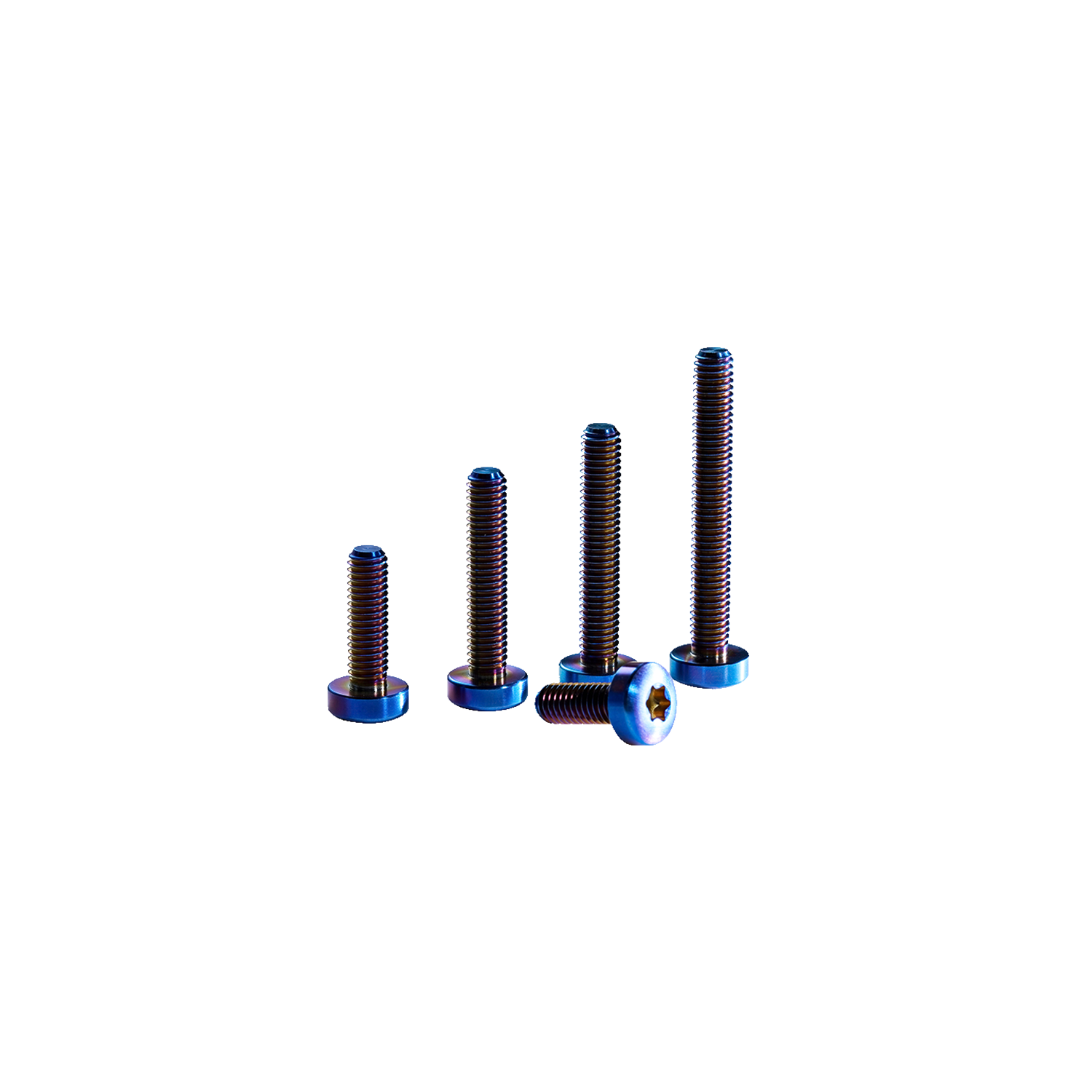 GONG | Titanium Screw Torx Head M6