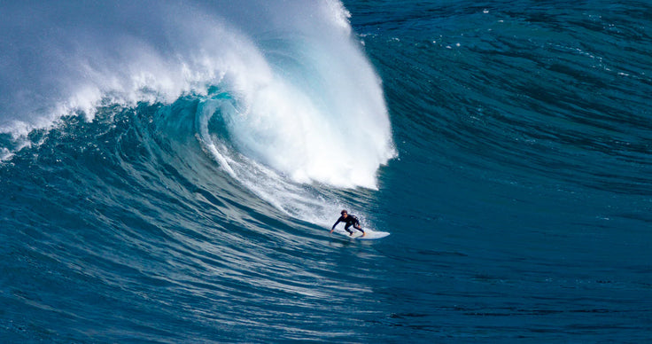 FEEDBACK : CARTER EPS 7’8