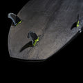 GONG | Factory SUP 7'11 Karmen FSP Pro