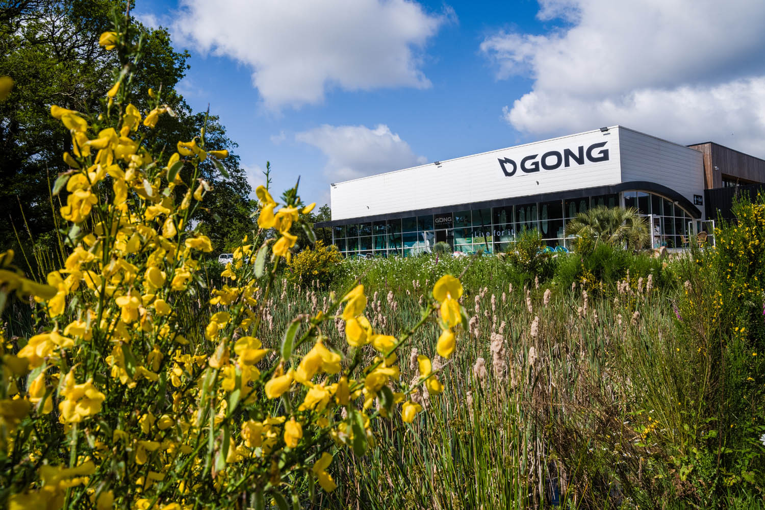 WORK FOR IT: GONG SPACE CENTER MANAGER