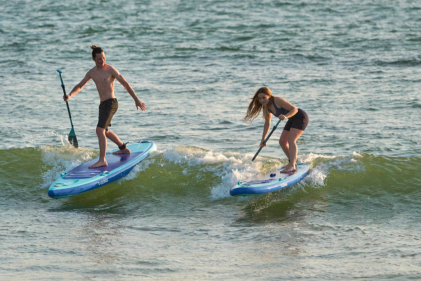 INSIGHTS: BOARD SPORTS: FUEL FOR BODY AND MIND