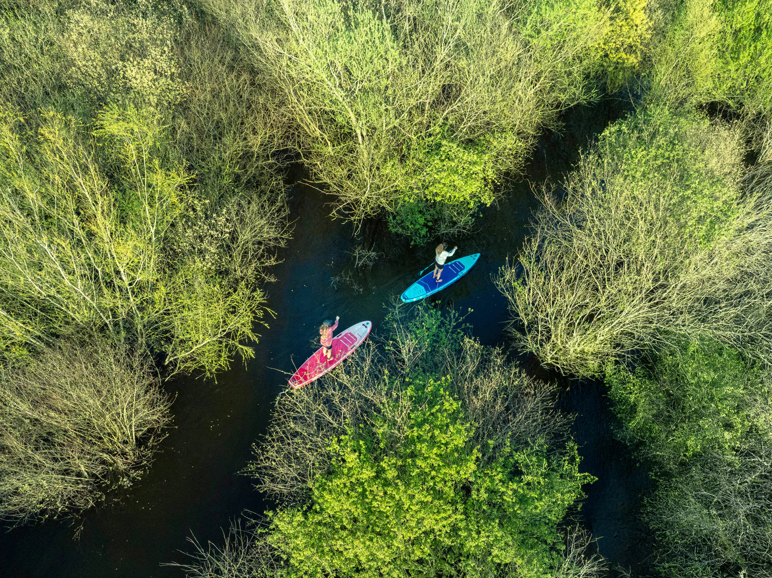 INSIGHTS : 5 REASONS TO CRUISE ON STAND-UP PADDLEBOARDS