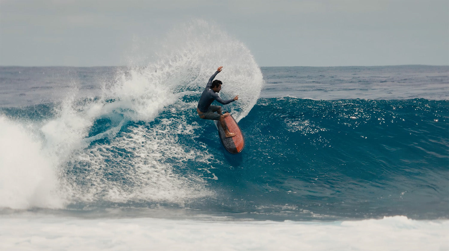 GEAR: THE FISH THAT REDEFINES YOUR LINES!