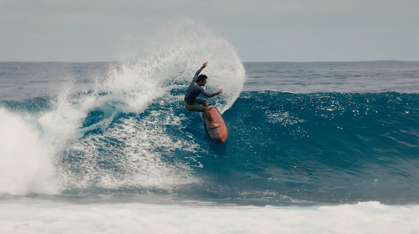 GEAR: THE FISH THAT REDEFINES YOUR LINES!