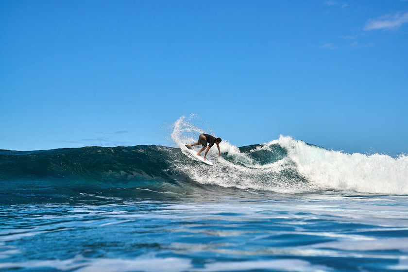 SESSION: SURF WITH A FAST AND FUN FISH!