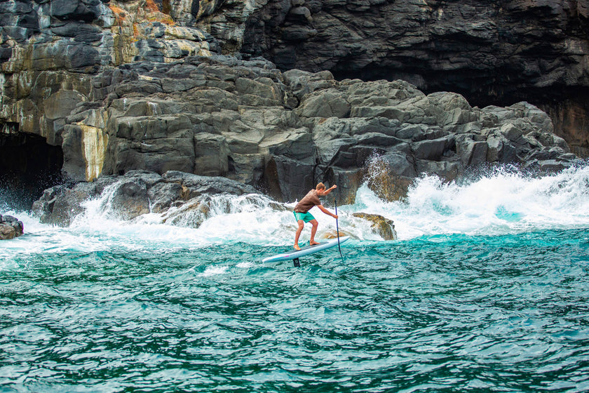 FEEDBACK : CURVE FG 3XL