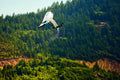 GONG | Foil Front Wing Ypra Freestyle Micro V3 Atmo - Pro Team Series