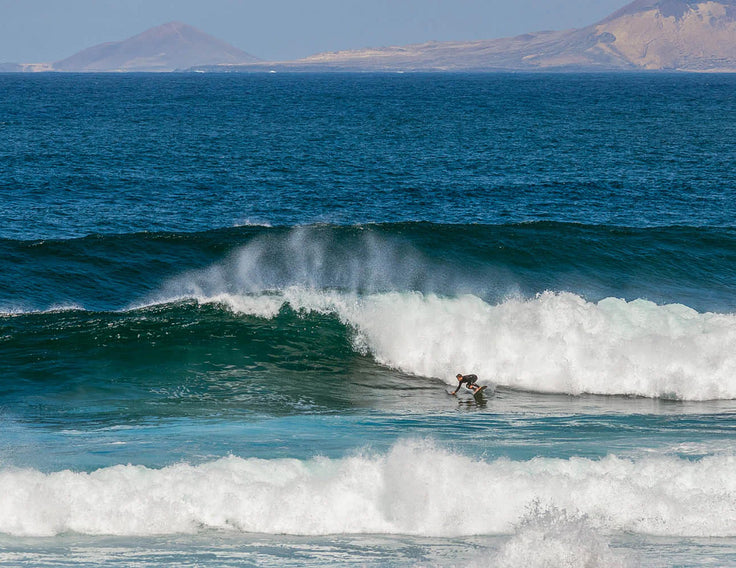 Bottom en grande planche