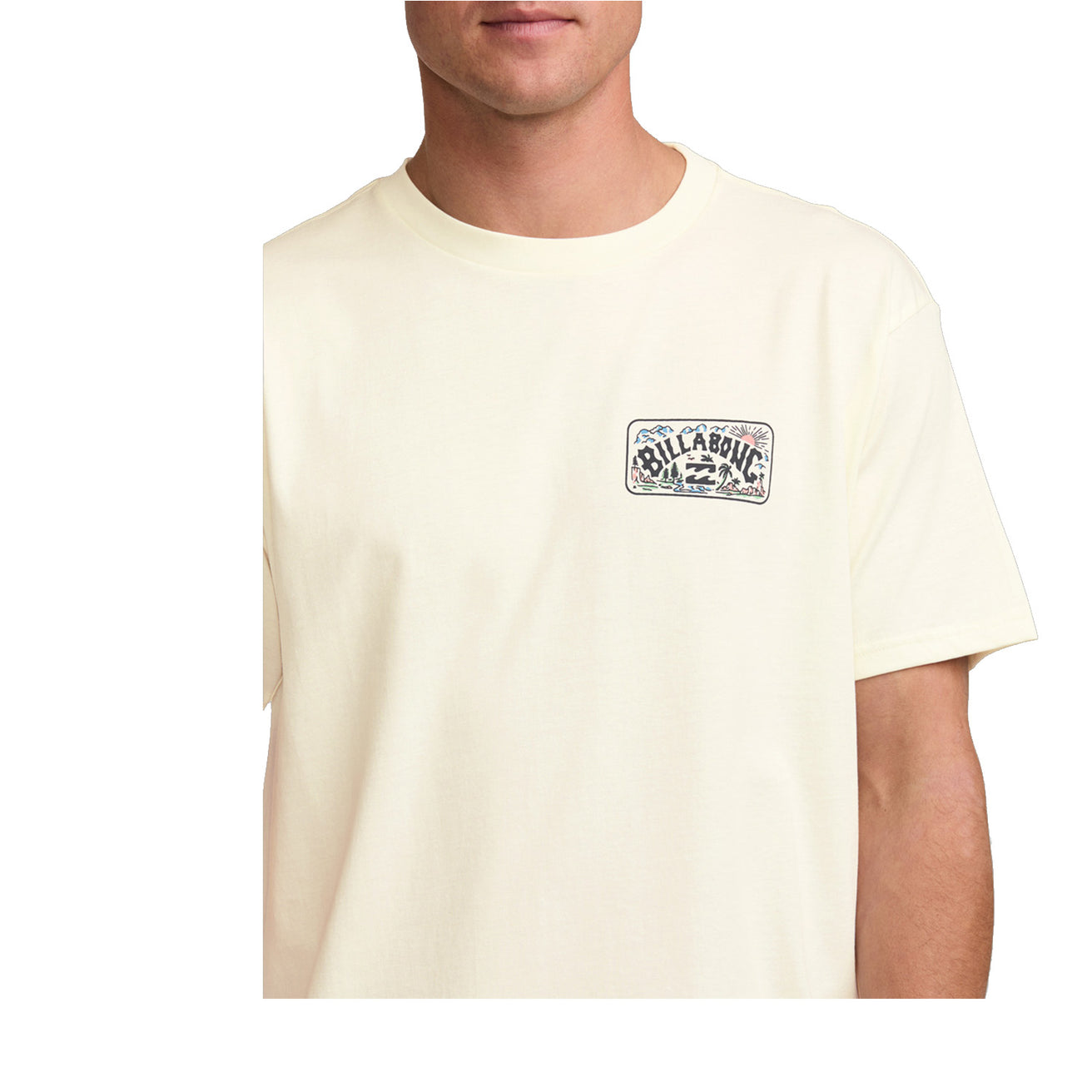 Billabong | Tee-shirt Scenic Arch