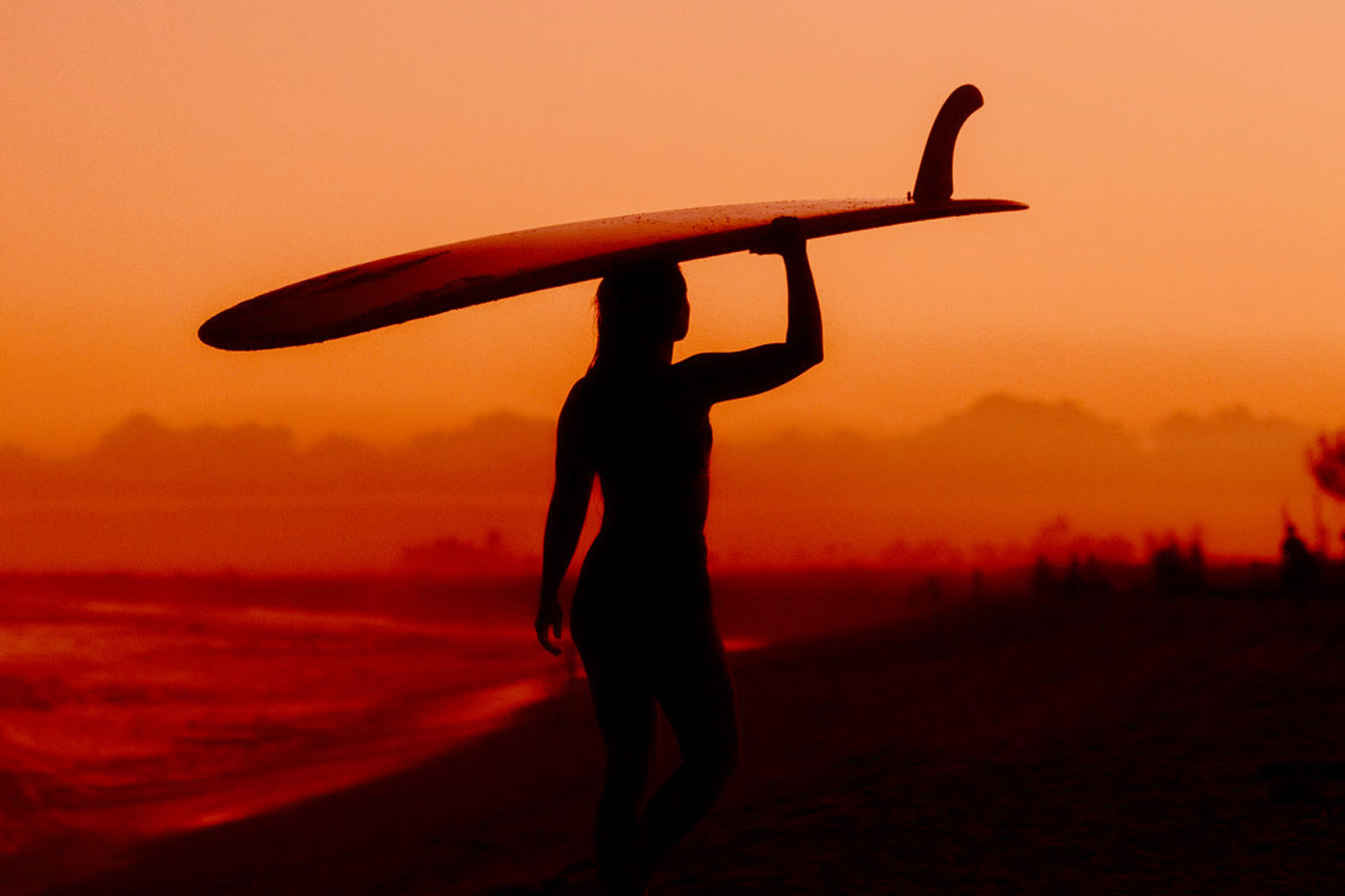 INSIGHTS: 5 REASONS TO LONGBOARD