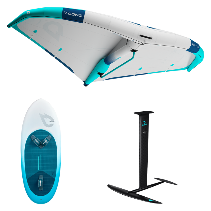 Pack | Pack Wing Mint FSP 2X