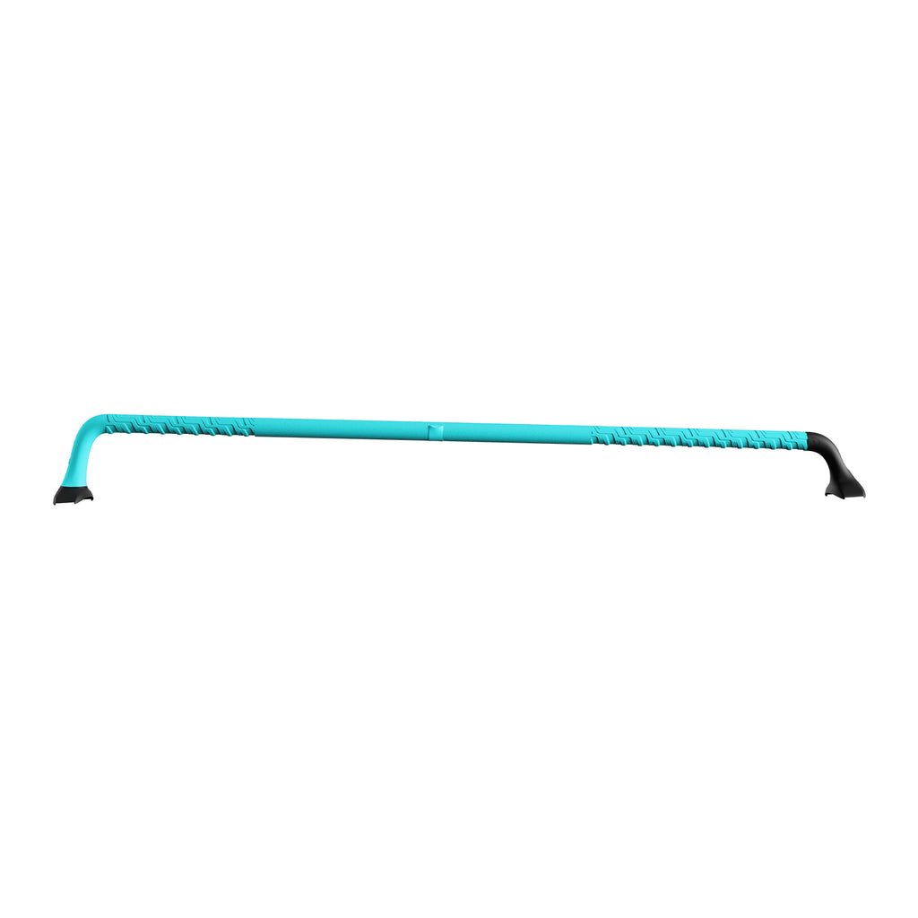carbon shaft / L / BLUE