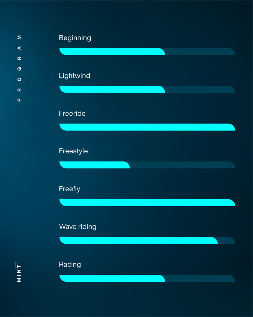 GONG | Wing foil board Mint FSP Pro