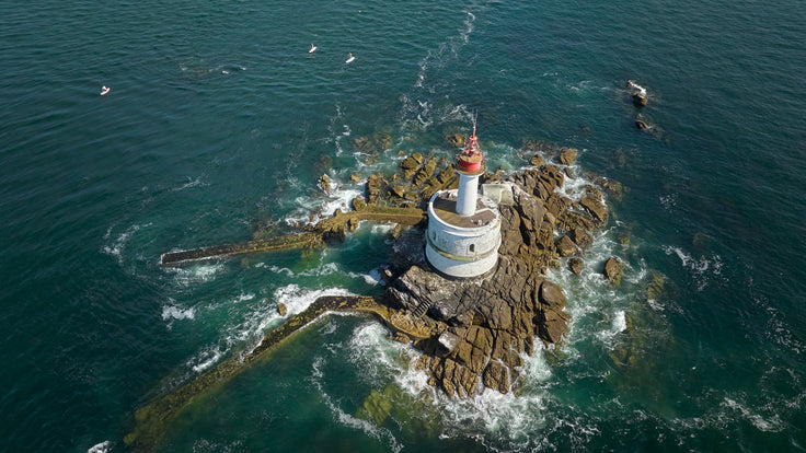 DON’T MISS OUT: WORLD OCEANS DAY