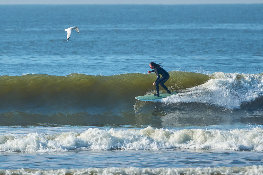 SESSION: CATCH MORE WAVES WITH THE GUMBALL!