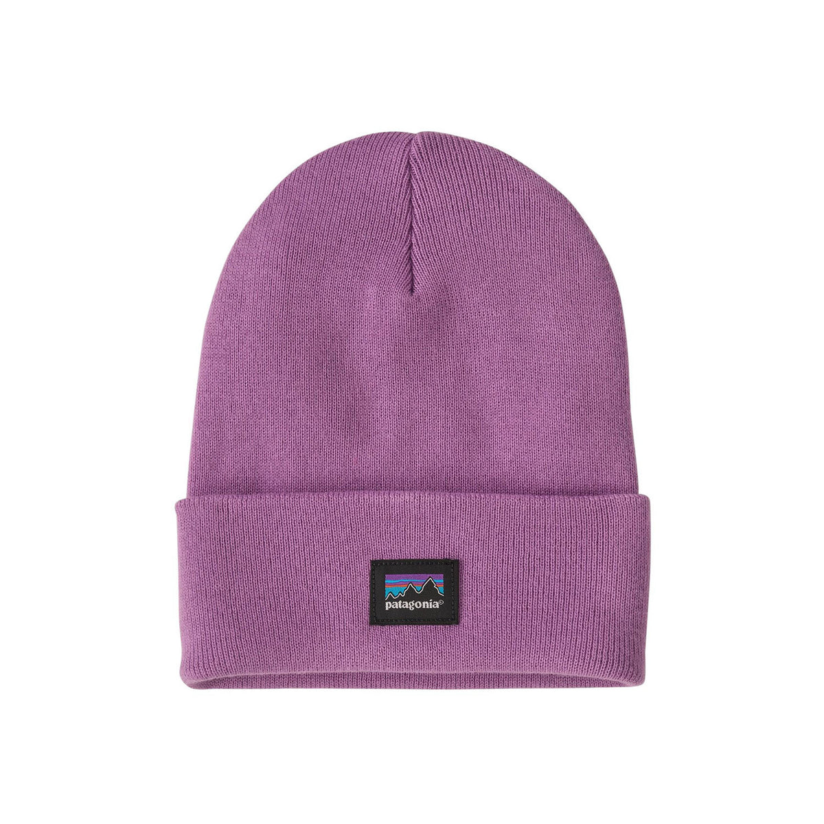 Patagonia | Bonnet Unisexe Everyday