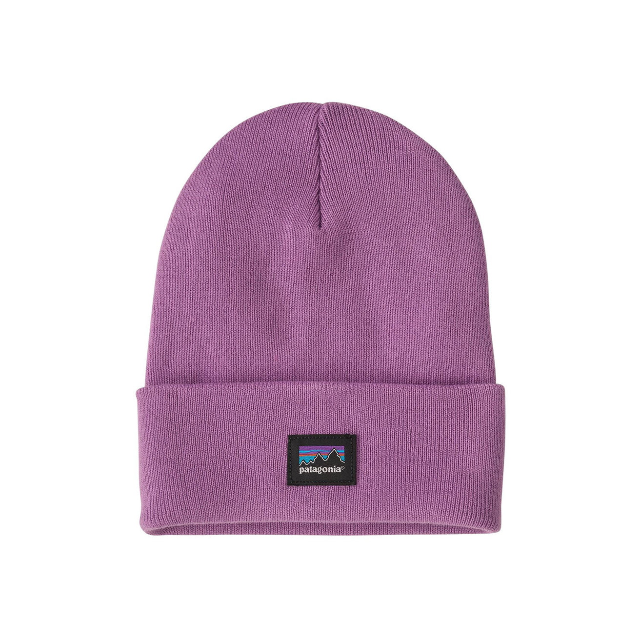 Patagonia | Everyday Beanie
