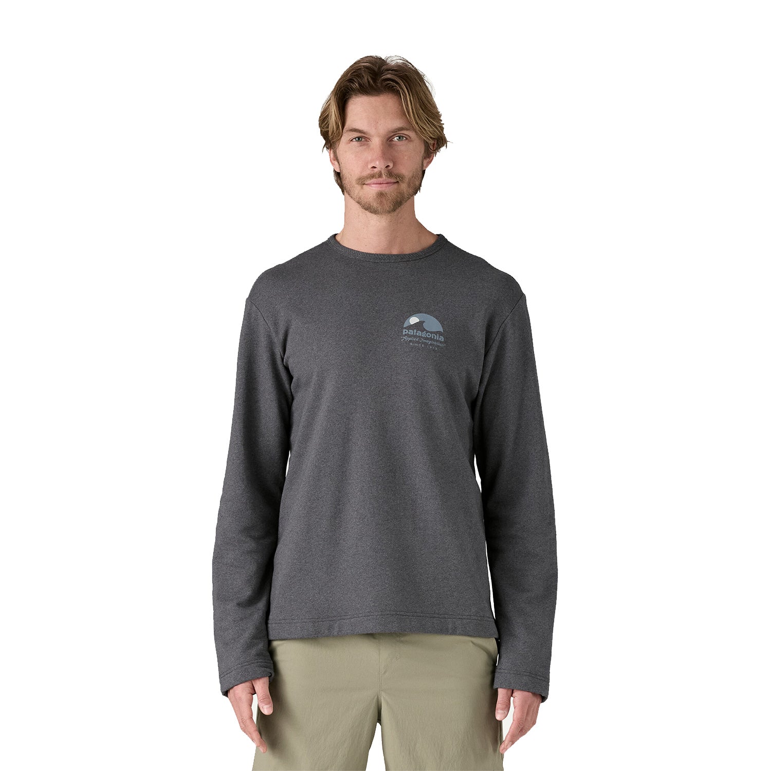 Patagonia | Tee-shirt manches longues M's LW Applied Imagination Wildrise Crew