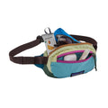 Patagonia | Sac Banane Terravia Mini 1L