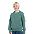 Billabong | Arch Sweat