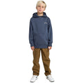 Billabong | Sweat à capuche Arch
