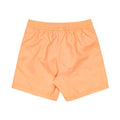 Billabong | Short All Day