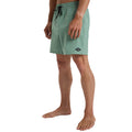 Billabong | Every Other Day boardshort