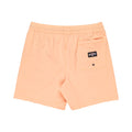 Billabong | Every Other Day boardshort