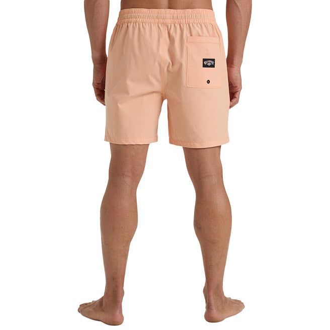 Billabong | Men Every Other Day Boardshort