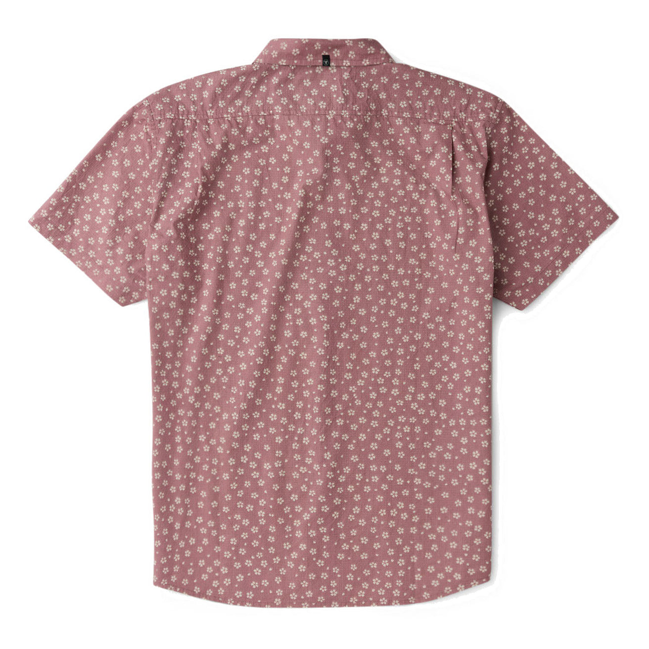 Vissla | Chemise à Manches Courtes Homme Bongo Circle Eco