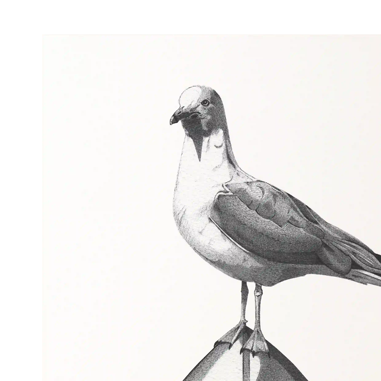 Madame Hubert | Local Only